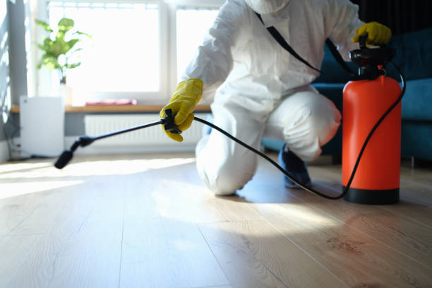 Trusted Odor Removal service in Mount Sterling, KY - Four Month Blood Cleanse